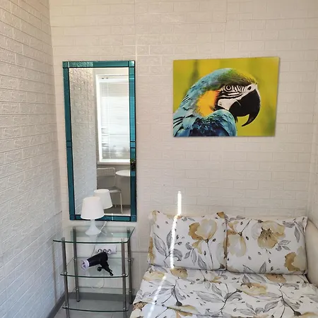 за гости ве-бо-ли** Банкя